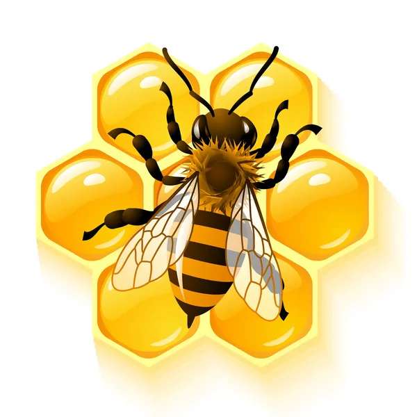 Panal de abejas rompecabezas en línea