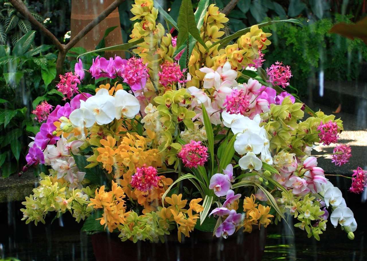 Un bouquet merveilleusement exotique, wow :) puzzle en ligne
