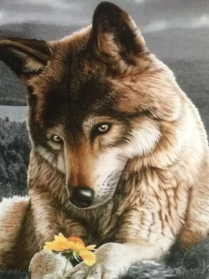 Loup brun penseur puzzle en ligne
