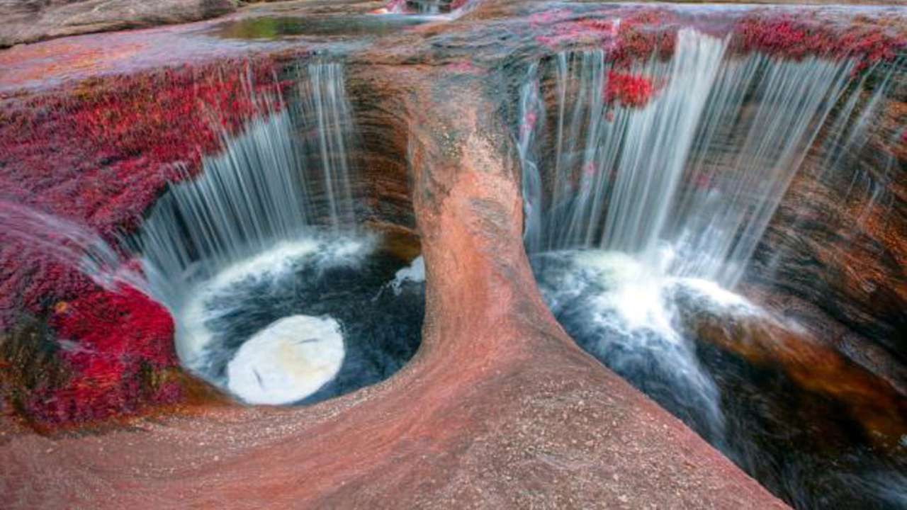Cano Cristales-rivier Colombia online puzzel