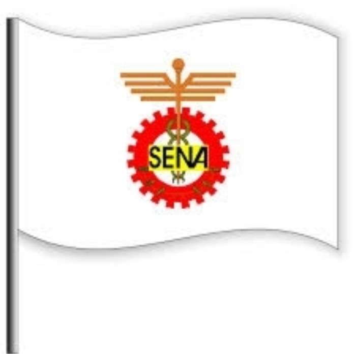 bandeira do sena quebra-cabeças online