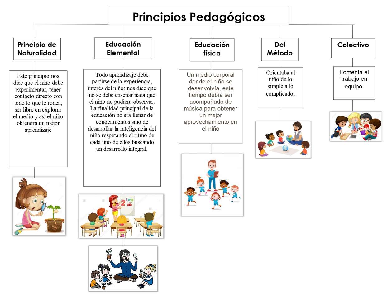 pedagogische principes legpuzzel online