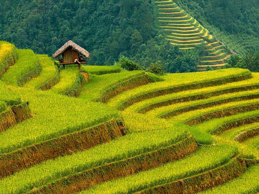 Величествена гледка - оризови тераси на провинция Юнан онлайн пъзел