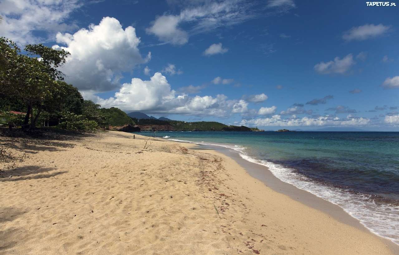 Playa de arena rompecabezas en línea