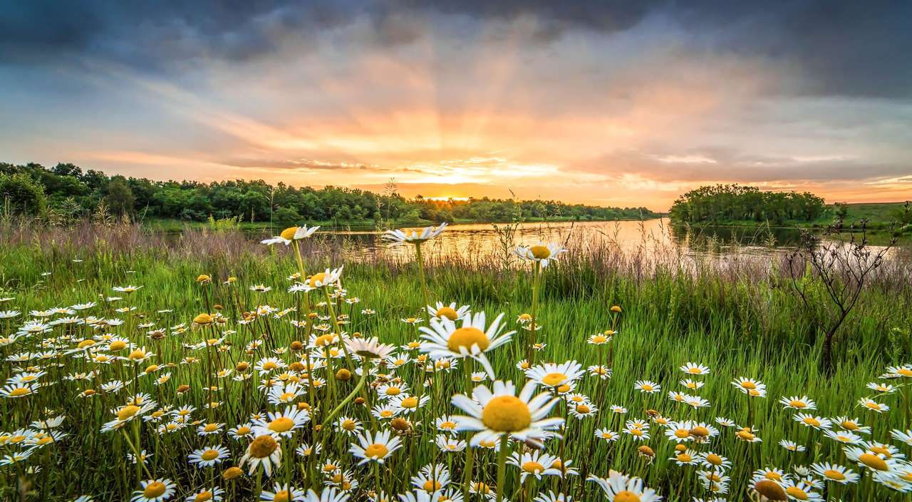 paisagem de flores quebra-cabeças online