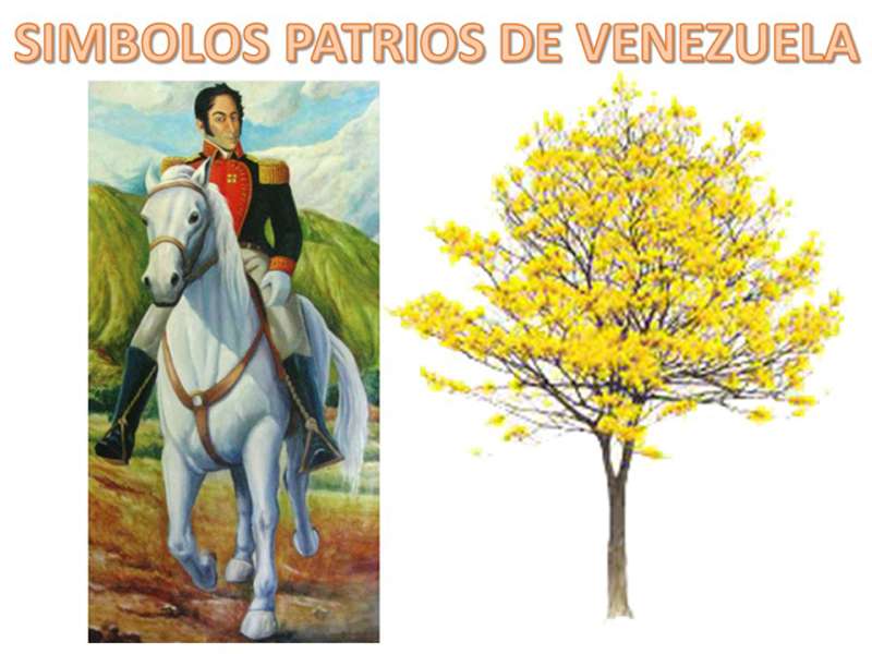 Simon Bolivar und Araguaney Puzzlespiel online