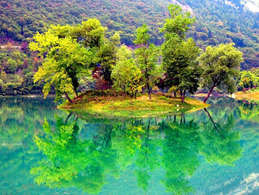 Uma pequena ilha no lago com uma porta, uma vista maravilhosa puzzle online