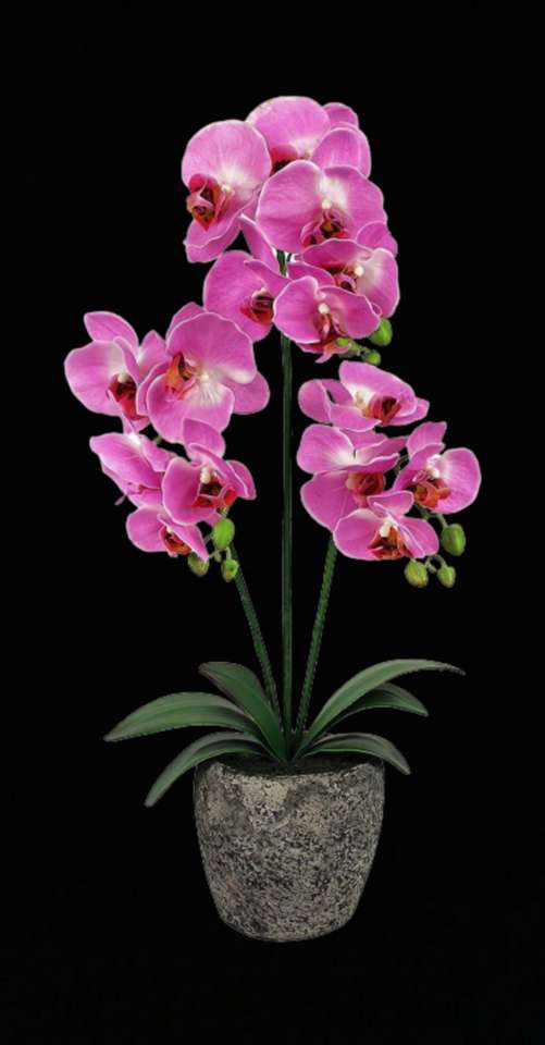 orchideeën legpuzzel online