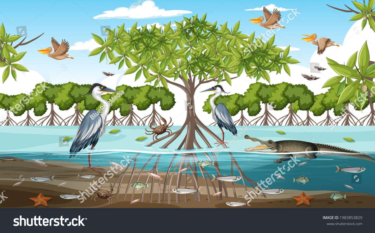 Mangroves puzzle en ligne