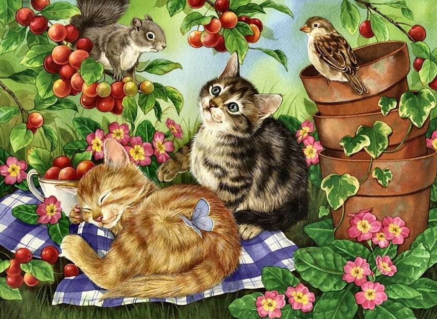 Macskanap, macskaszórakozás online puzzle