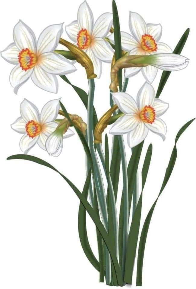Květina na jaře skládačky online