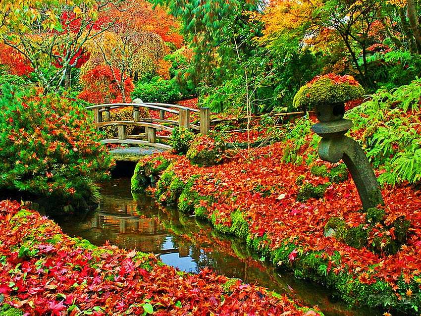 Krásně barevný podzimní les, zázrak skládačky online