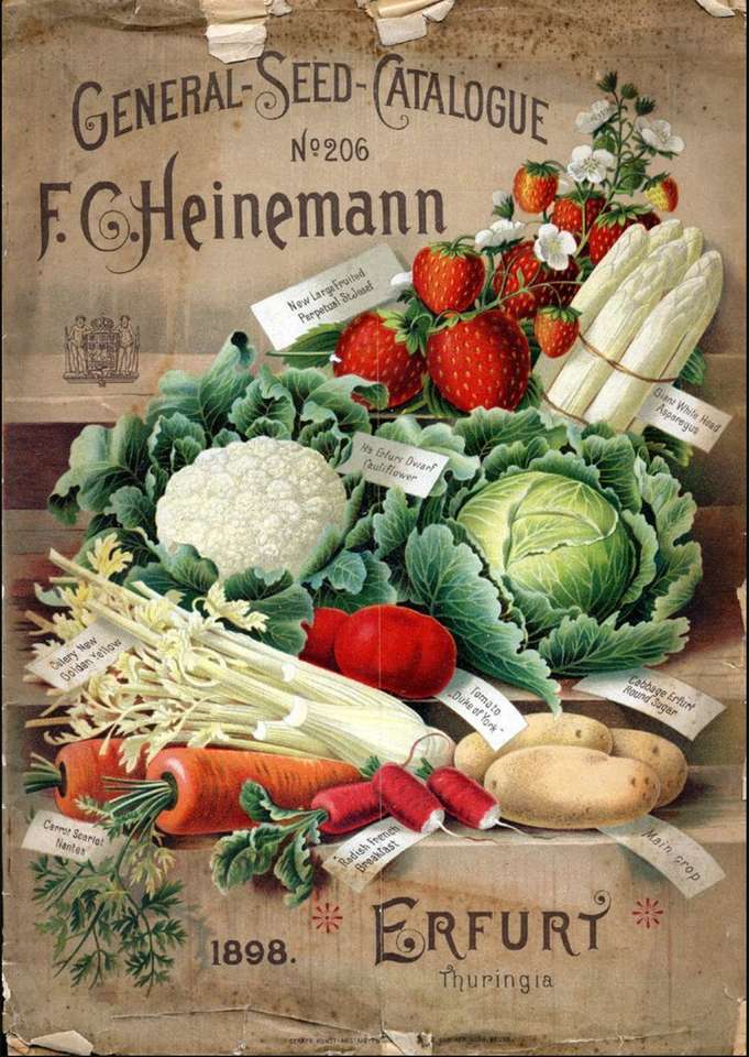 cartaz vegetal vintage quebra-cabeças online