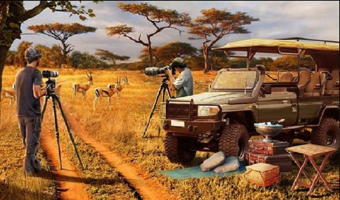 safari fotografico puzzle online