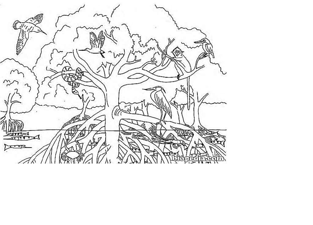 Para colorir - paisagem - puzzle online