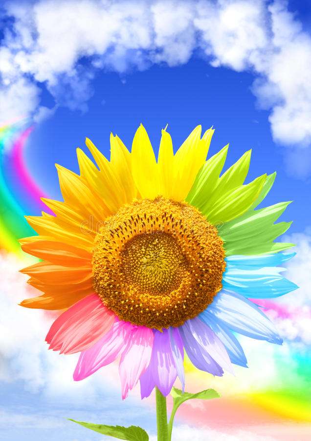 Colorful sunflower online puzzle