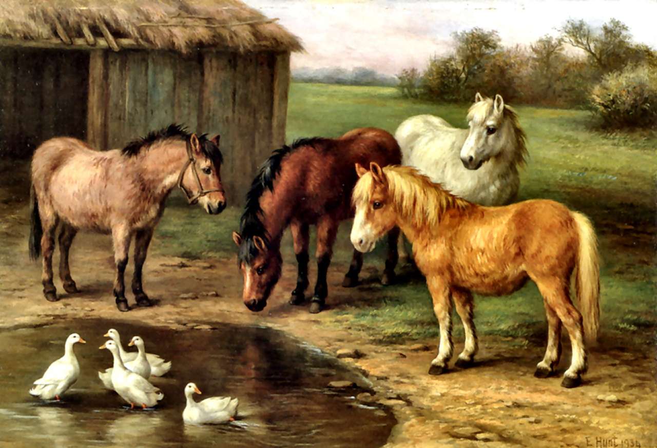 Ponnyer vid dammen och ankor i dammen, en härlig syn pussel på nätet