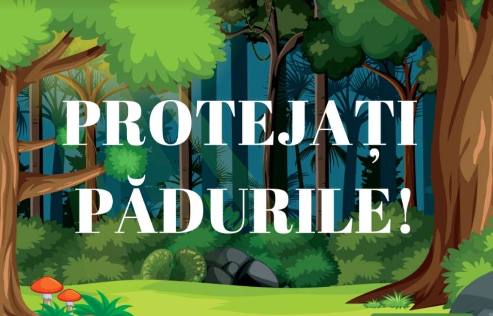 Protejați pădurile! puzzle online