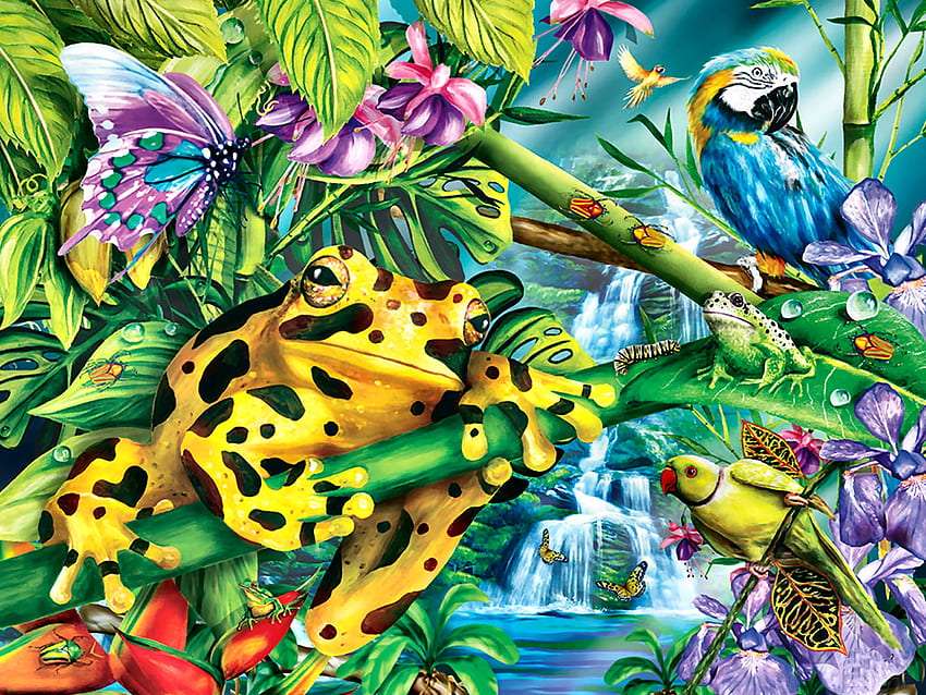 Amis de la forêt tropicale, belle grenouille puzzle en ligne