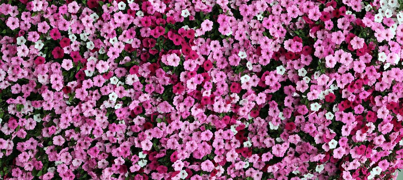 bloemen kleed online puzzel