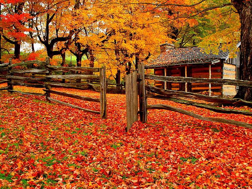 Uma fazenda na temporada de outono em roxo puzzle online