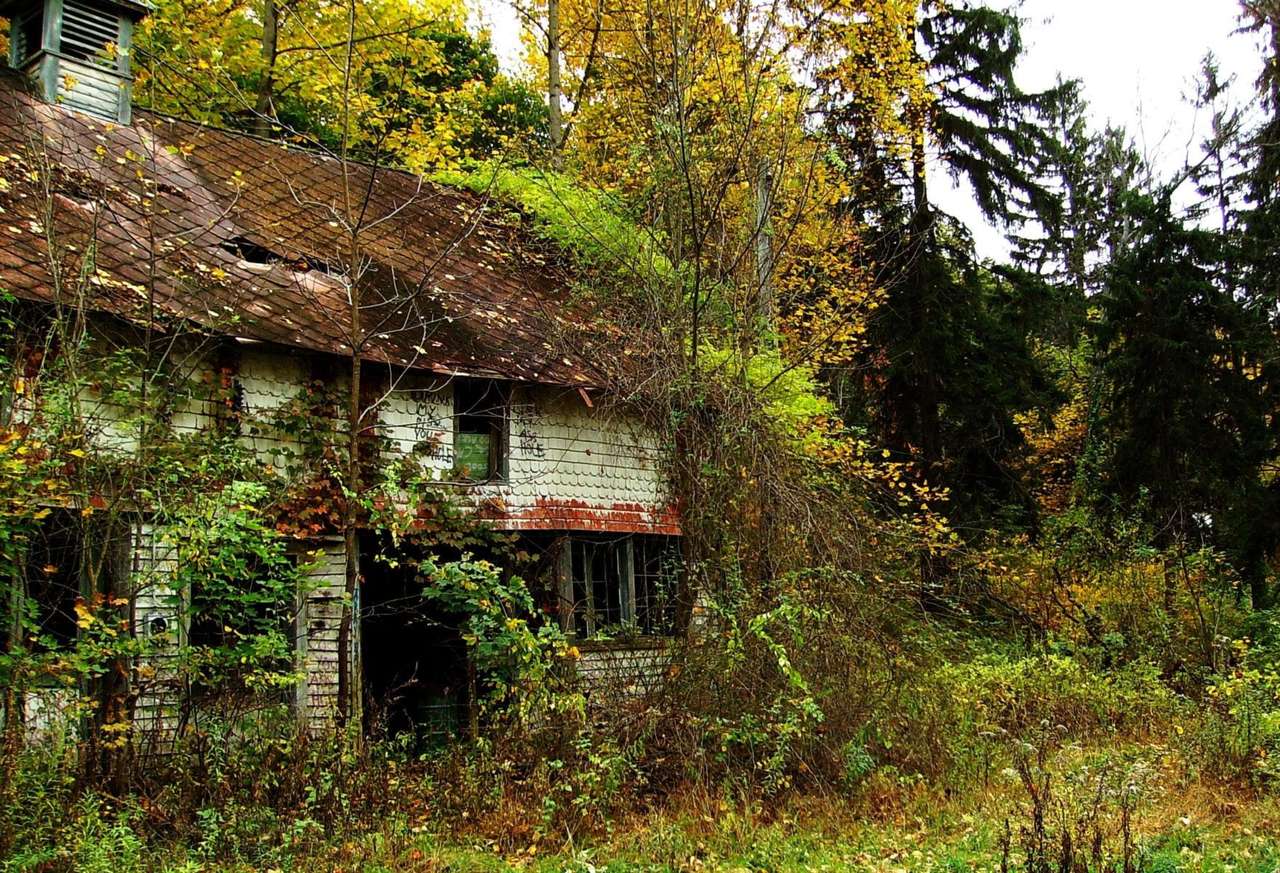 Ruïnes van een verlaten huis in het bos legpuzzel online