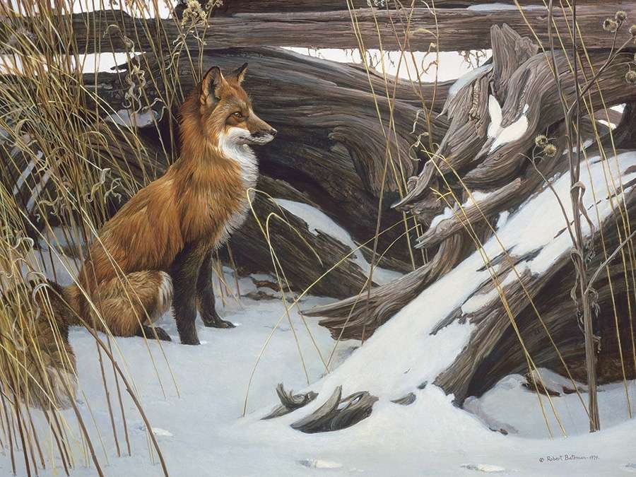 Fuchs im Winter Online-Puzzle