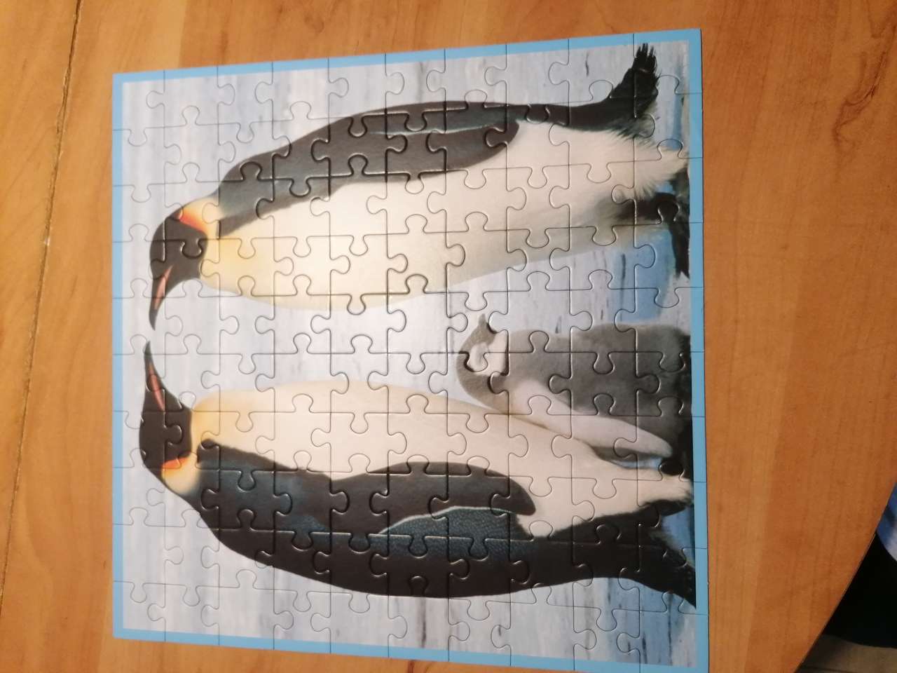 Pinguins lindos puzzle online