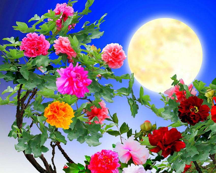 Belles fleurs et pleine lune puzzle en ligne