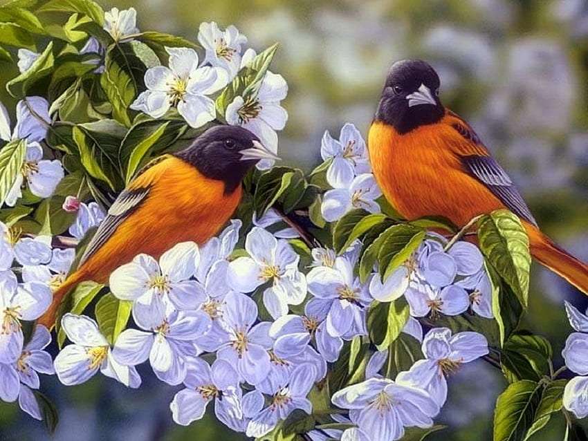Cute orchid flowers and cute birds jigsaw puzzle online