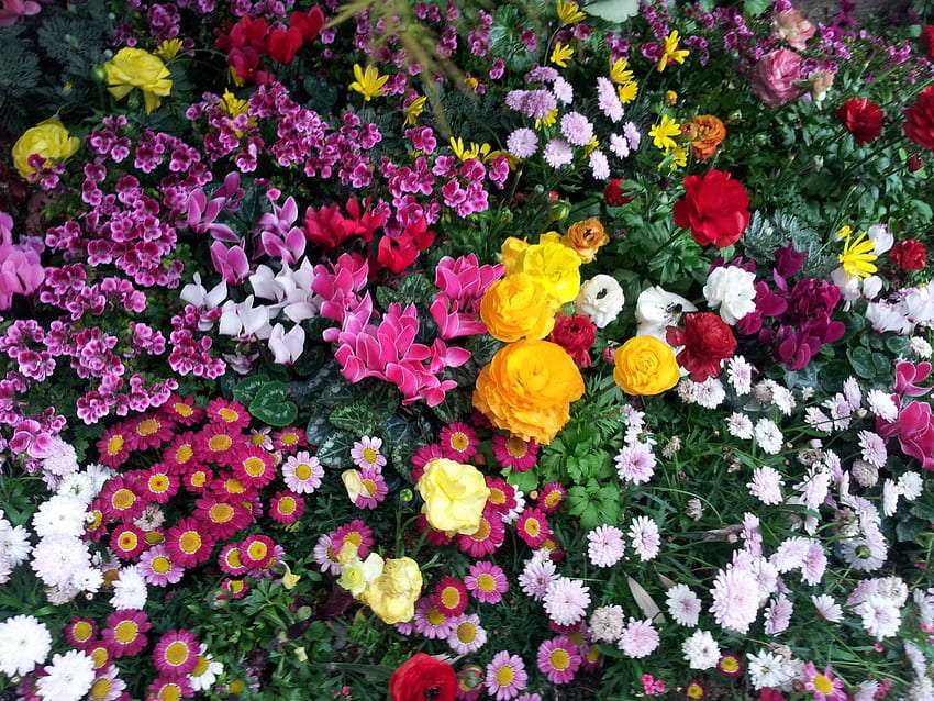 Um fantástico "tapete" floral, uau quebra-cabeças online
