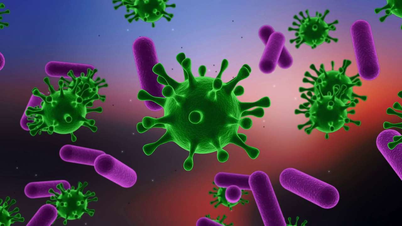 bacteriën online puzzel