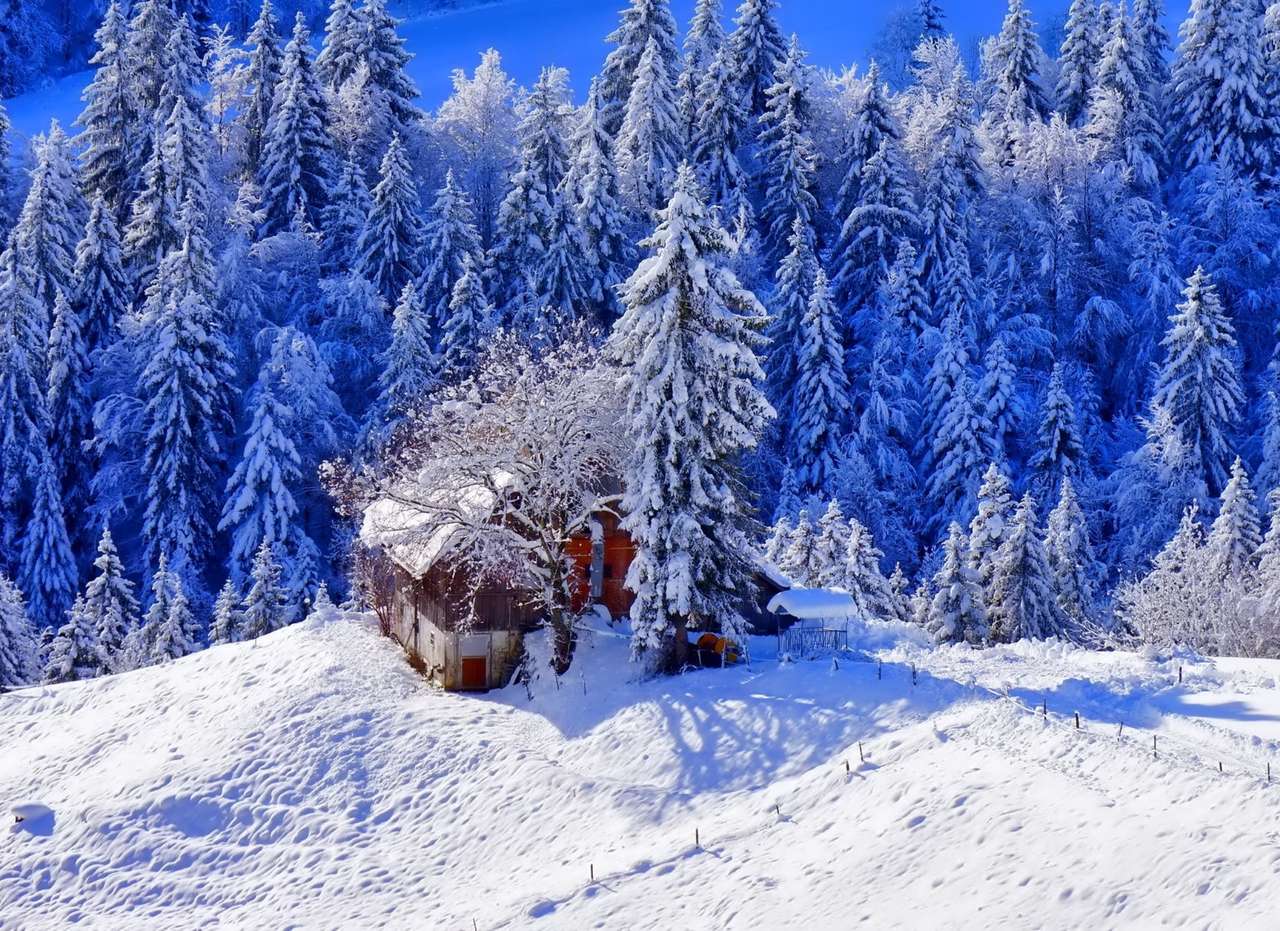 Il cottage sul bordo è coperto di neve puzzle online