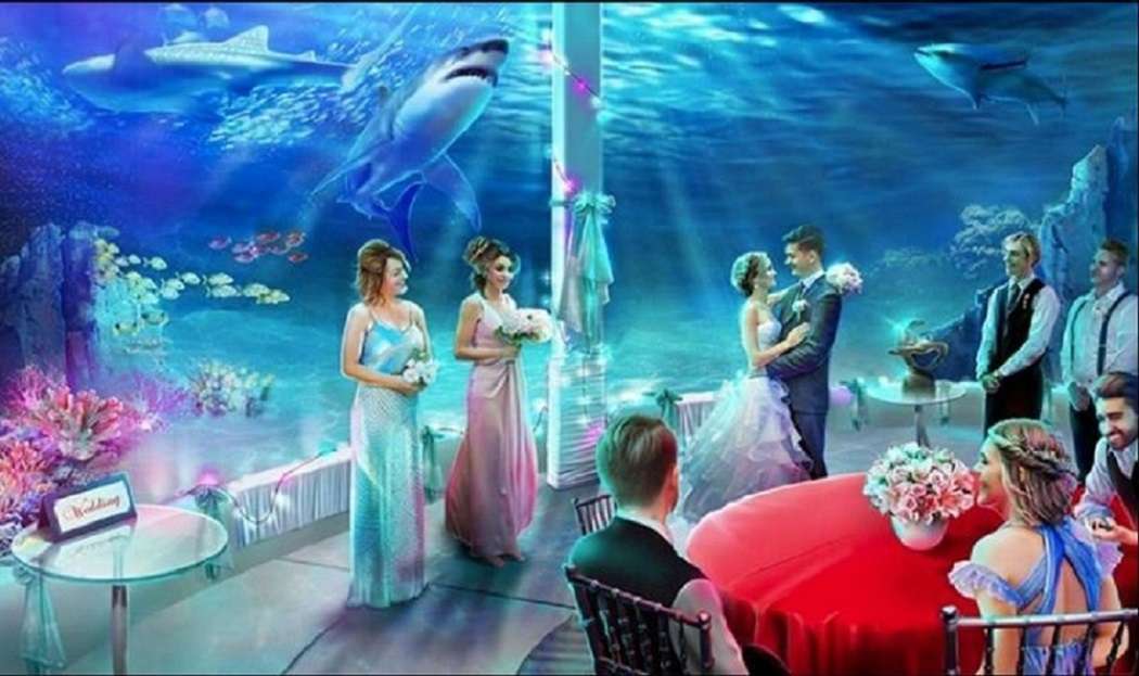 весілля в акваріумі онлайн пазл
