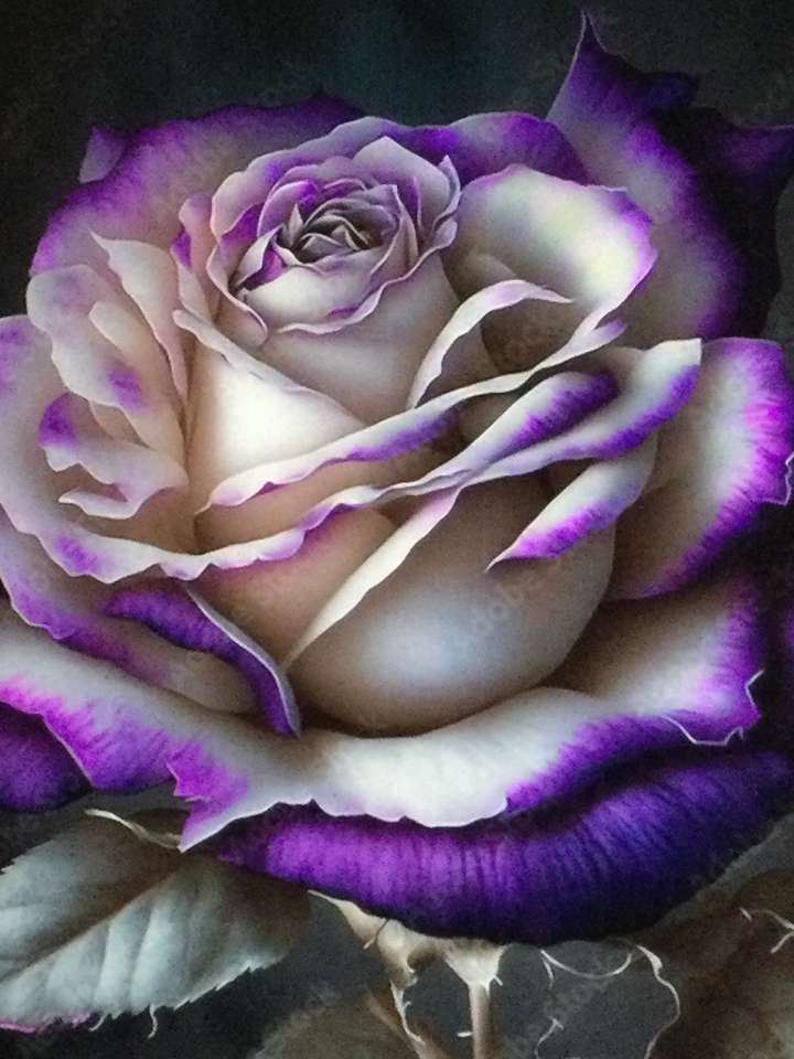 Rose violette puzzle en ligne