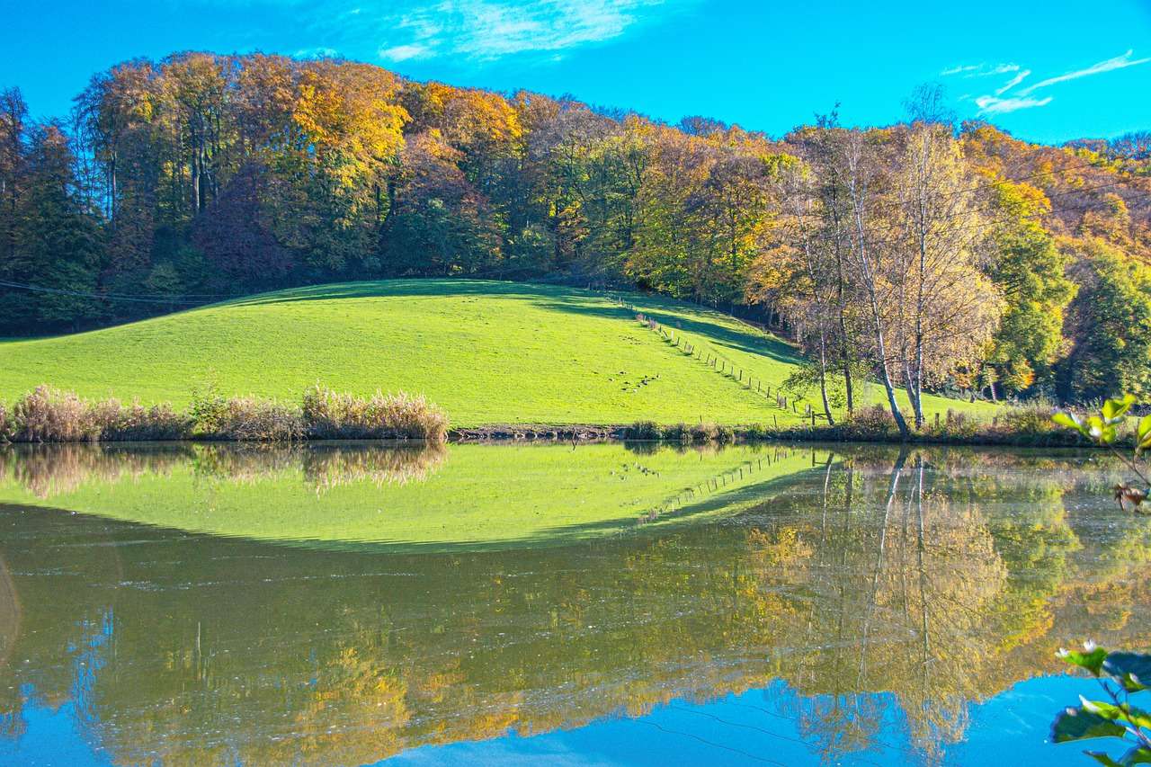 Green Meadow Reflection online puzzle