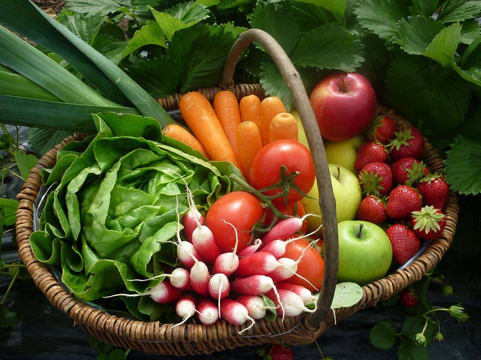 Verduras y frutas en una cesta rompecabezas en línea