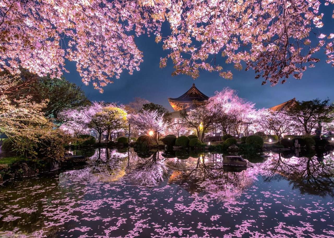 Cherry Blossom Country in de avond, wat een gezicht legpuzzel online