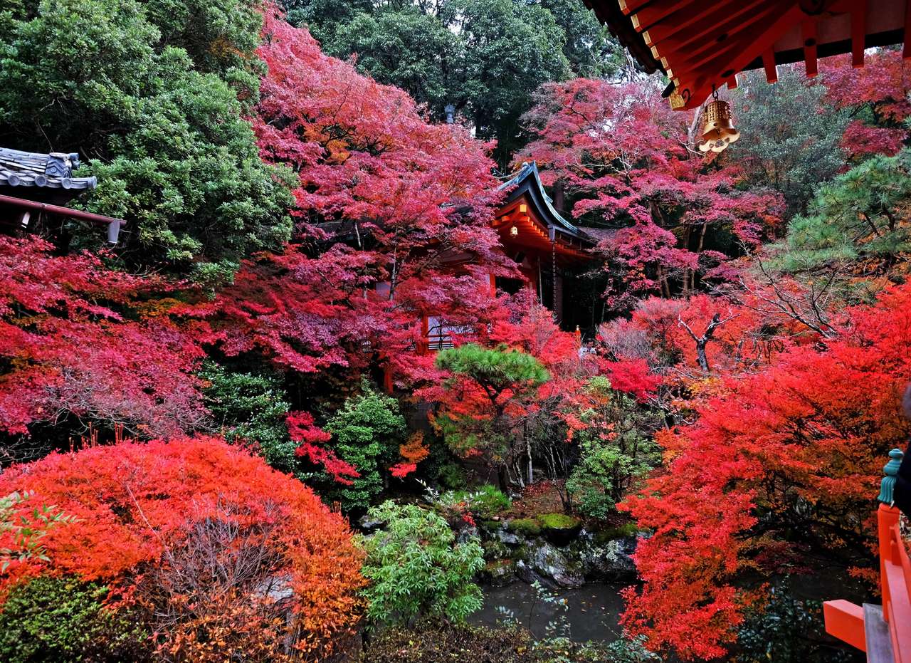 Outono japonês em um belo jardim quebra-cabeças online
