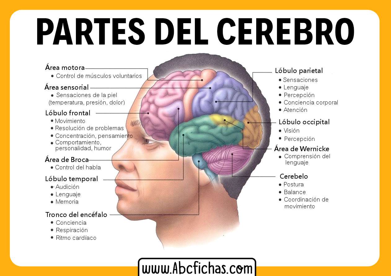 gegiggbn rompecabezas en línea