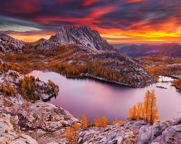 Trees on the rocks among the lake jigsaw puzzle online