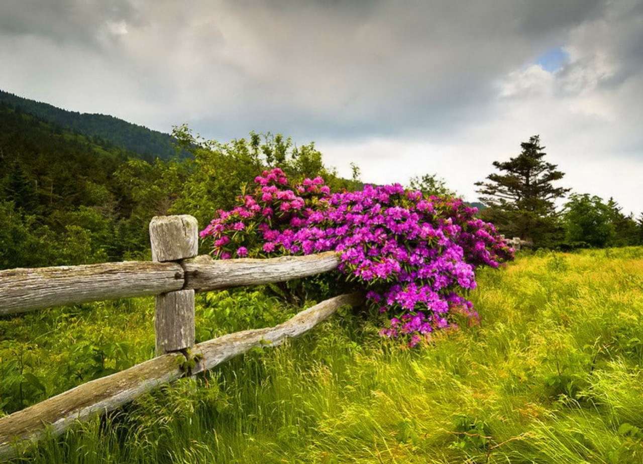 Φράχτη λουλουδιών στη μέση του πουθενά όμορφη θέα παζλ online