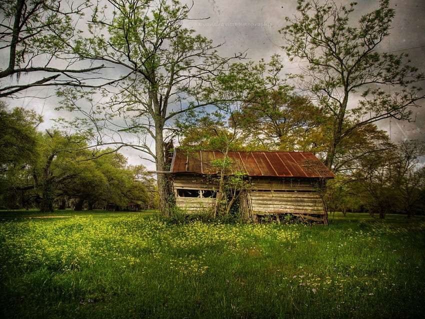 Een oud huis tussen bomen, een treurige aanblik online puzzel