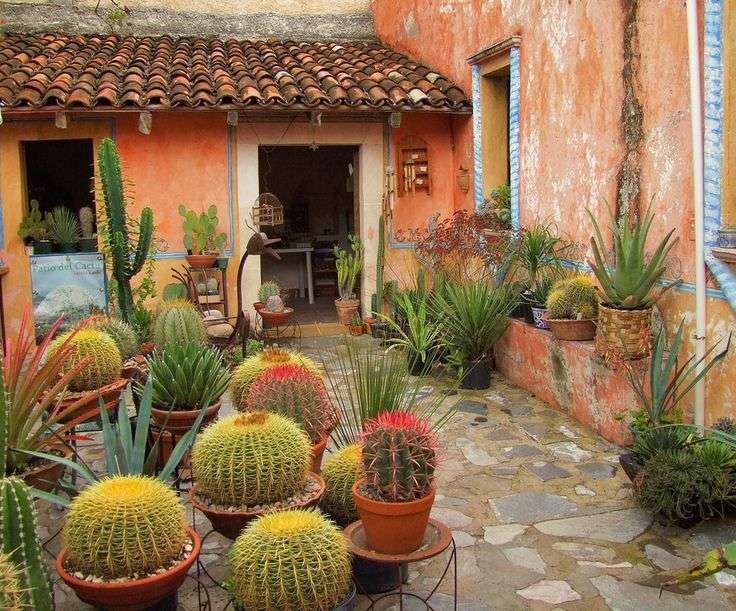 A house in Mexico surrounded by cacti jigsaw puzzle online