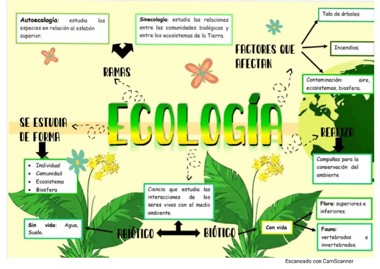 ecologia puzzle online