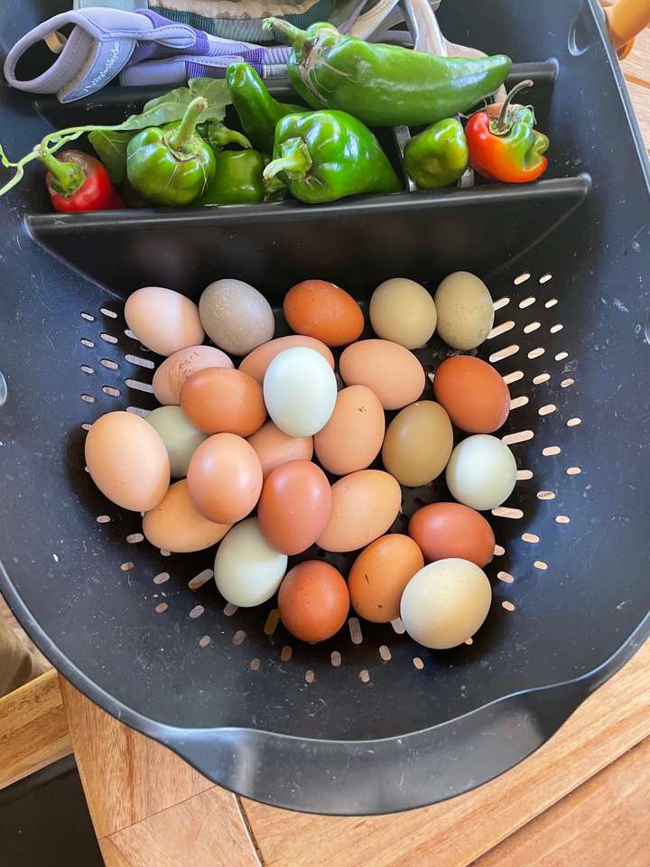 Ovos e vegetais na herdade puzzle online