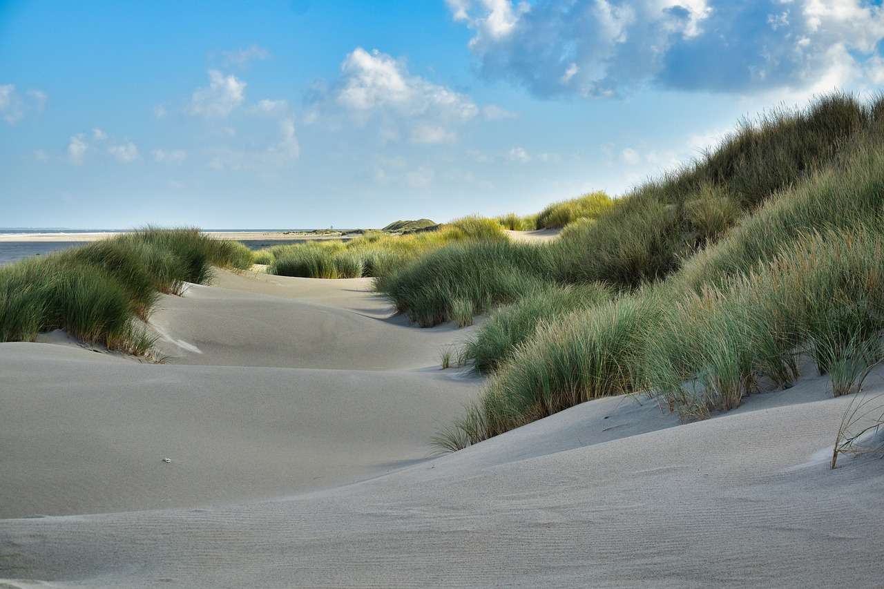 Пясъчен плаж Трева онлайн пъзел