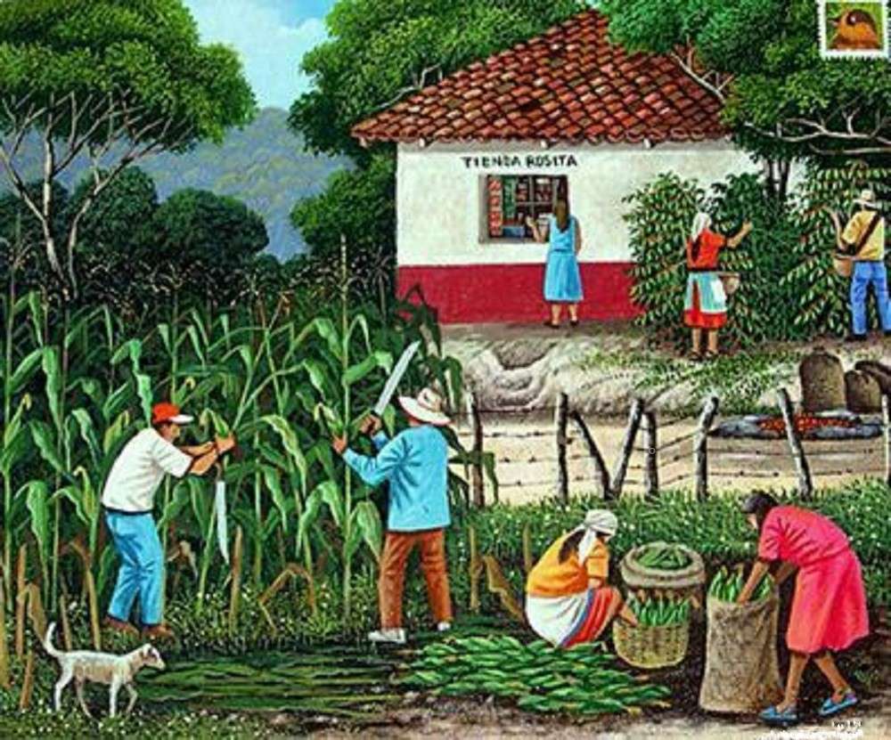 Maïs oogst online puzzel