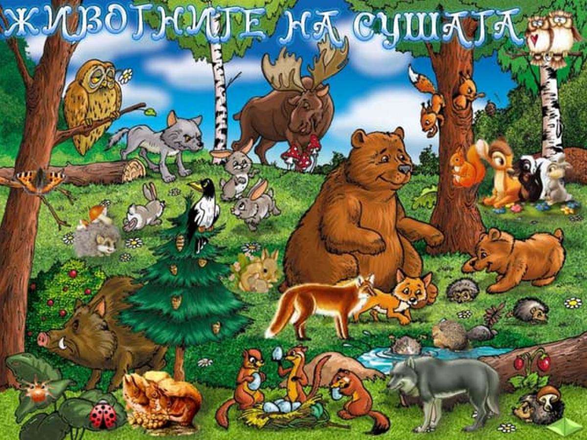 Animals on land 2nd class jigsaw puzzle online