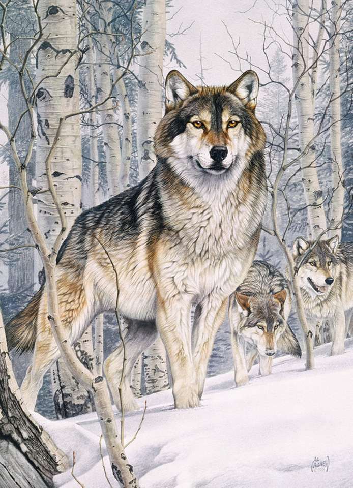 волки в снегу пазл онлайн